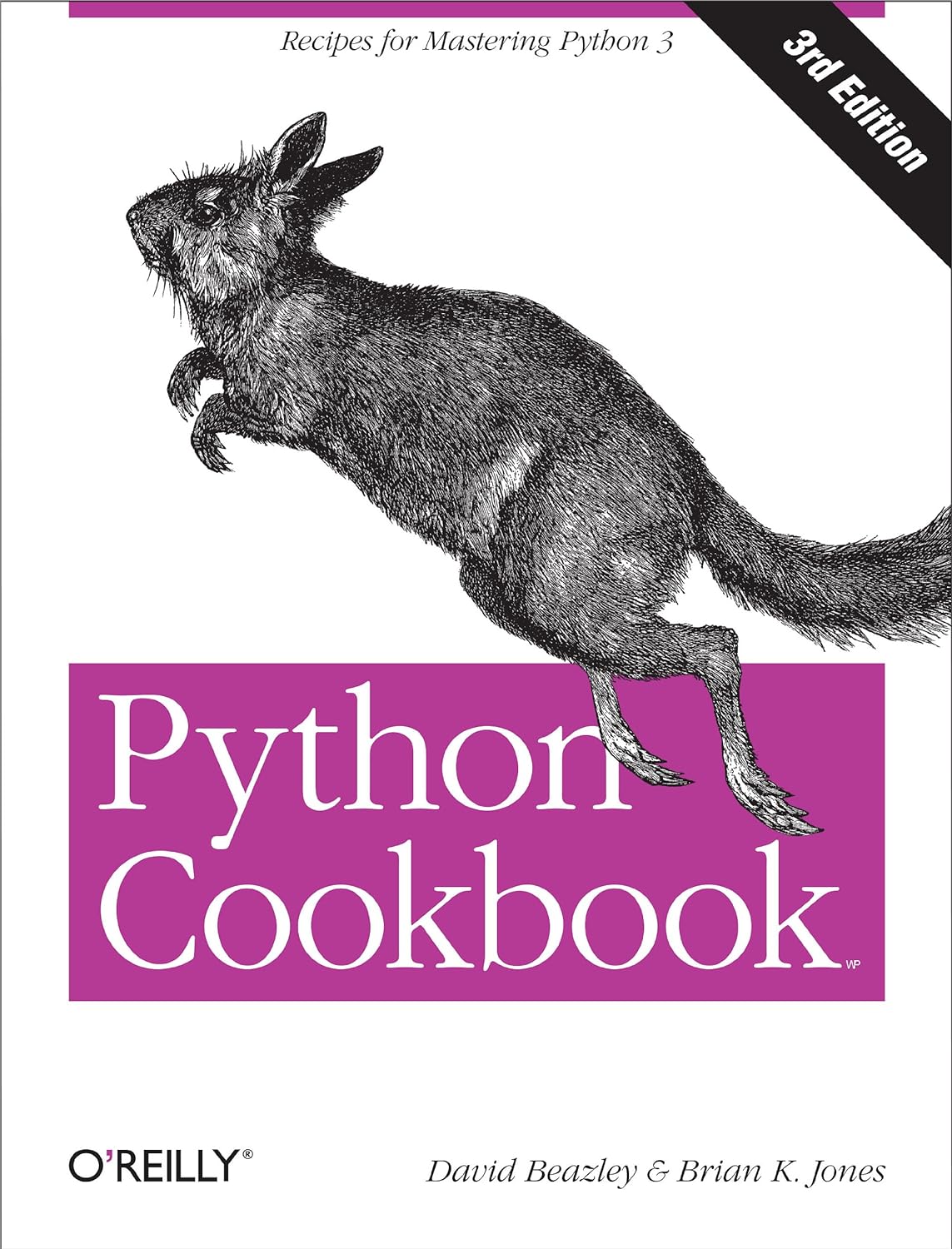 Python Cookbook (Third Edition)